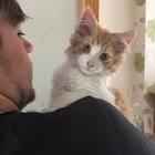 Profile Picture of   Linda Needham (@welshymoo)... (@welshymoo) on Tiktok