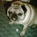 Profile Picture of Robert MacEachern (@robert.maceachern.5) on Facebook