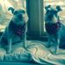 Profile Picture of Nancy Pawley (@nancy.pawley.7) on Facebook