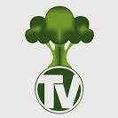 Profile Picture of Broccoli Tv (@Bob_Tattoo_2007) on Twitter