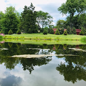 Profile Picture of Mavis Paul (@mavispaul1217) on Youtube