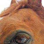Profile Picture of Julia Rivard (@julia_rivaaaaaaadddd) on Instagram