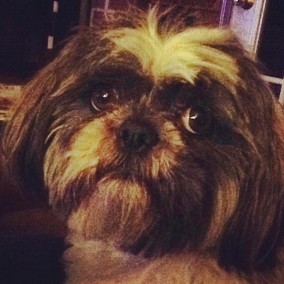 Profile Picture of Carol Throckmorton (@crthrockmorton) on Poshmark