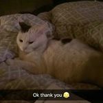 Profile Picture of charles sexy thang (@charles_putty_tat) on Instagram