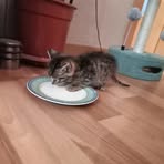 Leon Kratsch - Facebook Profile Picture of Leon Kratsch (@Leon-Kratsch) on Facebook