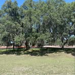 Profile Picture of Csilla Tuba Callesen (@csilla.callesen) on Facebook