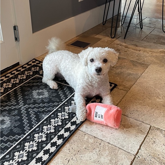 Profile Picture of April Howson (@treelightdesign) on Poshmark