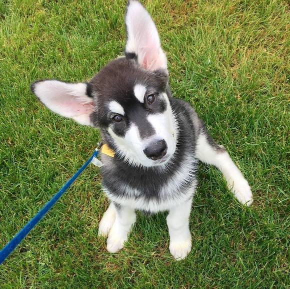 Profile Picture of Cathy Robertson (@cathyroberts741) on Poshmark