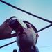 Profile Picture of Joseph Tollefson (@josephtollefson) on Pinterest