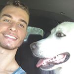 Profile Picture of Bernardo Accetta Sobroza (@bernardo_sobroza) on Instagram