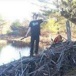 Profile Picture of Joseph Belanger-barnes (@belangerbarnes) on Instagram