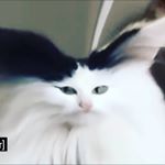 Profile Picture of Jeremy Cardenas (@jeremy_cardenas_) on Instagram