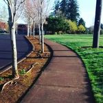 josh Baird - Instagram Profile Picture of josh Baird (@josh.baird123) on Instagram