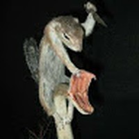 Profile Picture of Cesar Posada (@cesar-posada-8) on Quora