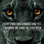 Profile Picture of Jason Wharton (@jason_wnarton) on Instagram