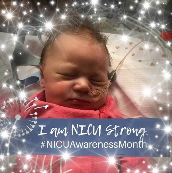 Profile Picture of Maureen Maliff (@mmaliff1130) on Poshmark