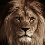 Profile Picture of Malik Al Hussien (@malik.al.hussien.2025) on Facebook