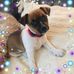 Profile Picture of Kerrie Barron (@kerrie.barron.1) on Facebook