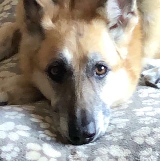 Profile Picture of Roy Squires (@Roy-Squires) on Facebook