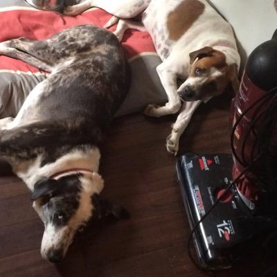 Brian Elie - Twitter Profile Picture of Brian Elie (@BrianElie1) on Twitter