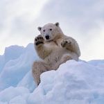 Nathan Grice - Instagram Profile Picture of Nathan Grice (@ngd03) on Instagram