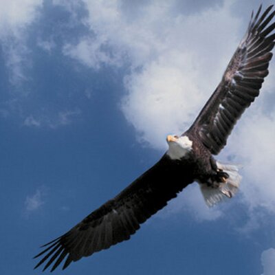 Profile Picture of Greg Ponder (@In_Statesboro) on Twitter