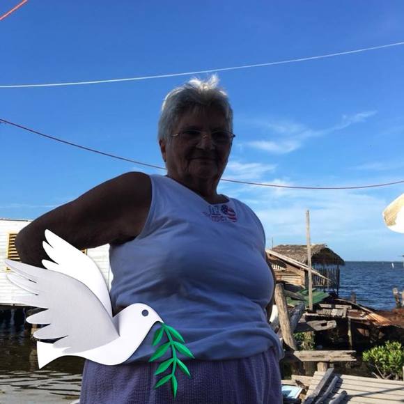 Pablo Freyre - Poshmark Profile Picture of Pablo Freyre (@pablofreyre) on Poshmark