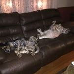 Eileen Nichols - Instagram Profile Picture of Eileen Nichols (@nichols.eileen) on Instagram