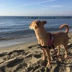 Profile Picture of Barbara Corazza (@barbara_corazza88) on Instagram