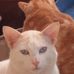 Profile Picture of Brian Milnes (@brian.milnes.524) on Facebook