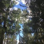 Profile Picture of Bryan Pope (@bryanpope79) on Instagram