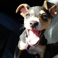 Tyler Baron - Quora Profile Picture of Tyler Baron (@tyler-baron-8) on Quora