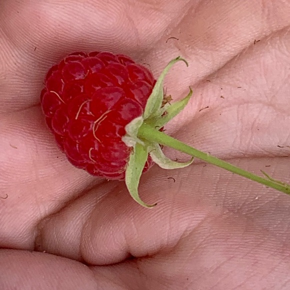 Profile Picture of Catherine Gambrell (@categambrell) on Poshmark