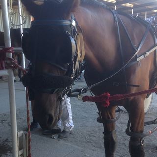 Darren Emerson - Facebook Profile Picture of Darren Emerson (@darren.emerson.9889) on Facebook