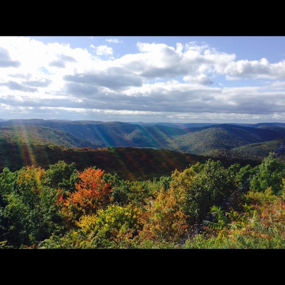 Nicole Chesek - Poshmark Profile Picture of Nicole Chesek (@nicole_2700) on Poshmark