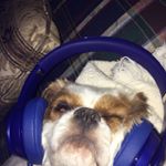 Profile Picture of Patrick Mccawley (@mccawleyp) on Instagram