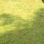 Profile Picture of Aaron Marston (@x_aaronation_14x) on Instagram