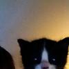 Profile Picture of Jeffrey Haskell (@@jeffreyhaskell) on Tiktok