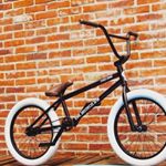 Profile Picture of Joni Becerra (@becerra.joni) on Instagram