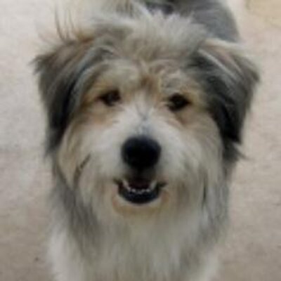 Profile Picture of Ivy McMullen (@imcmull) on Twitter