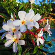 Profile Picture of LILLIAN CHICK (@lian1180) on Youtube