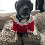 Profile Picture of Mike Bayliss (@captdigby) on Instagram