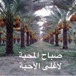 Profile Picture of helmi_rantalaa (@helmi_rantalaa) on Instagram