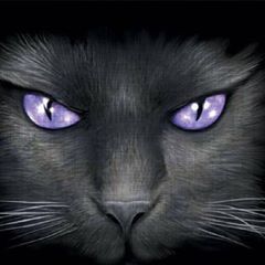 Profile Picture of Carla Vandini (@carlavandini) on Tiktok