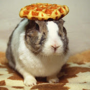 Profile Picture of Nora Coyle (@noracoyle5008) on Youtube