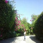 Profile Picture of Qeencyvell Garces Codilla (@qeencyvell) on Instagram