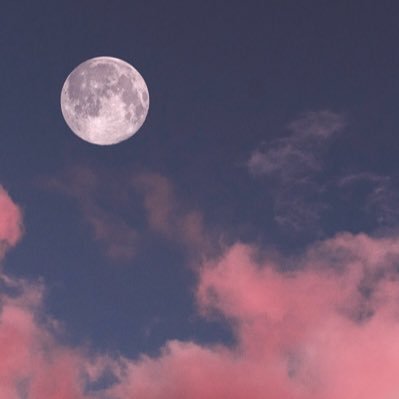 Profile Picture of Alicedao (@alicedao11) on Twitter