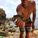 Jose Antonio Torregrosa - Instagram Profile Picture of Jose Antonio Torregrosa (@torregrosajoseantonio) on Instagram