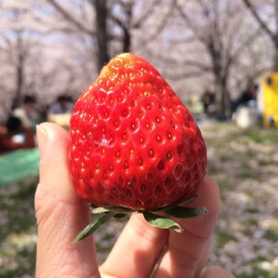 Profile Picture of Hung Ching Wen (@HungChingWen2) on Twitter