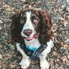 Profile Picture of .Buddy.sharp. (@@_summer_vxbes_) on Tiktok